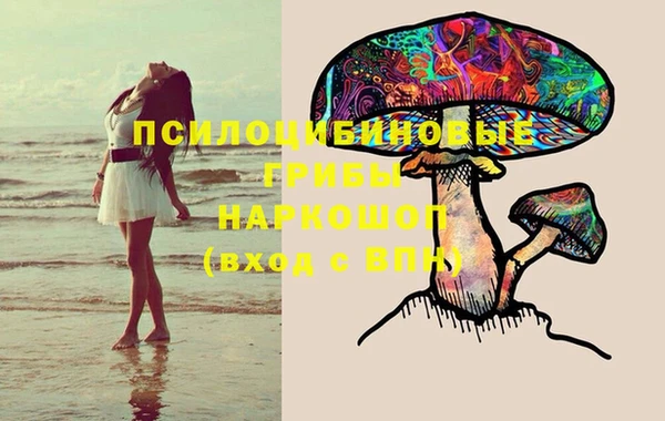 Альфа ПВП Беломорск