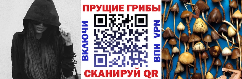 МЕГА ссылка Высоковск Псилоцибиновые грибы Cubensis
